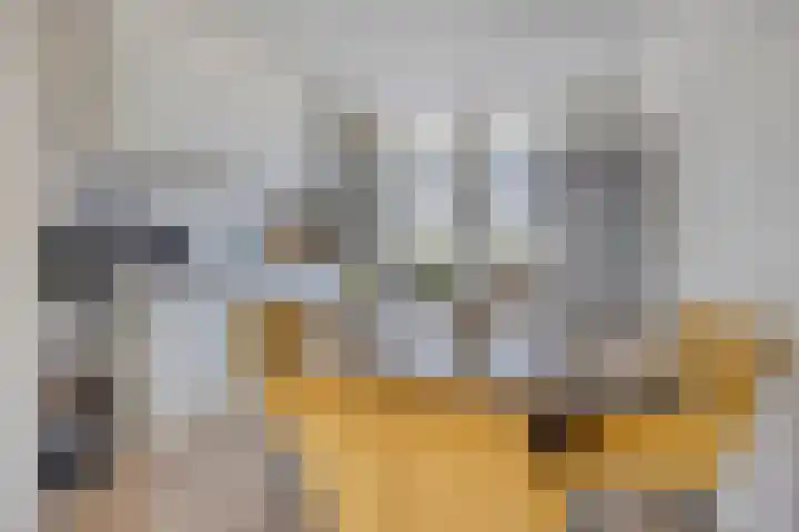 Titus Brandsmahove 32 Zoetermeer thumbnail 8