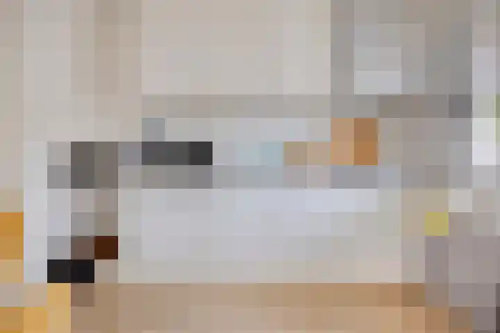 Titus Brandsmahove 32 Zoetermeer thumbnail 9
