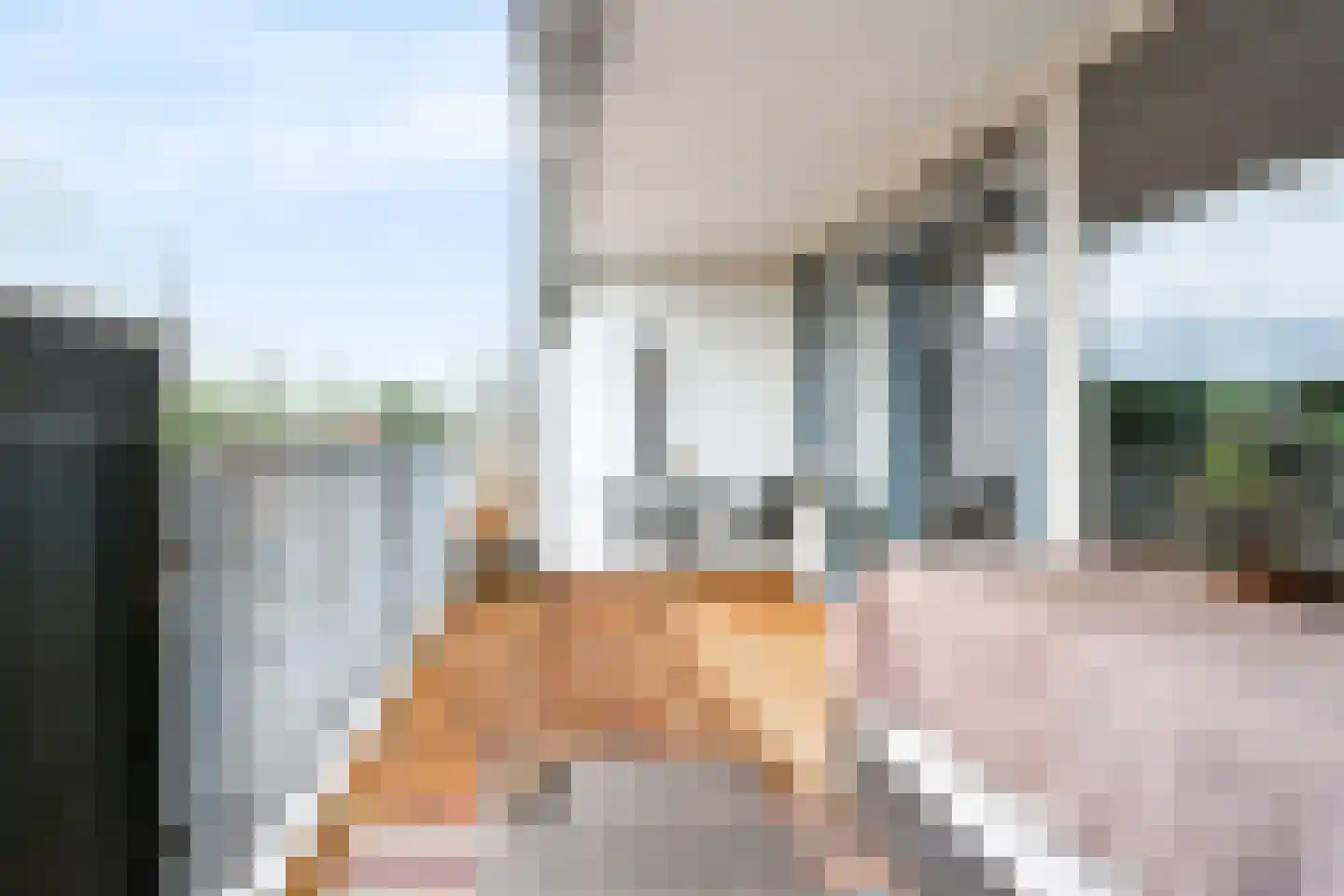 Titus Brandsmahove 50 Zoetermeer thumbnail 23