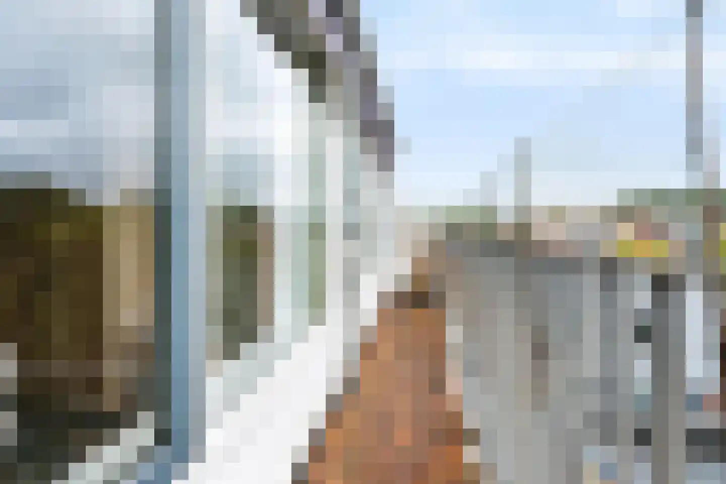 Titus Brandsmahove 50 Zoetermeer thumbnail 24