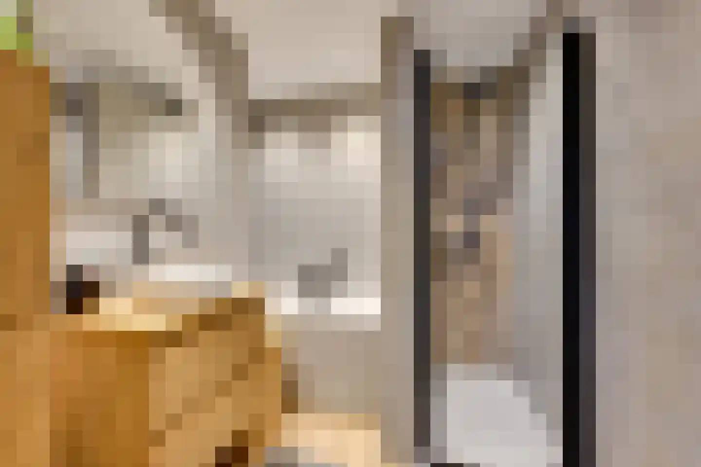 Titus Brandsmahove 50 Zoetermeer thumbnail 34