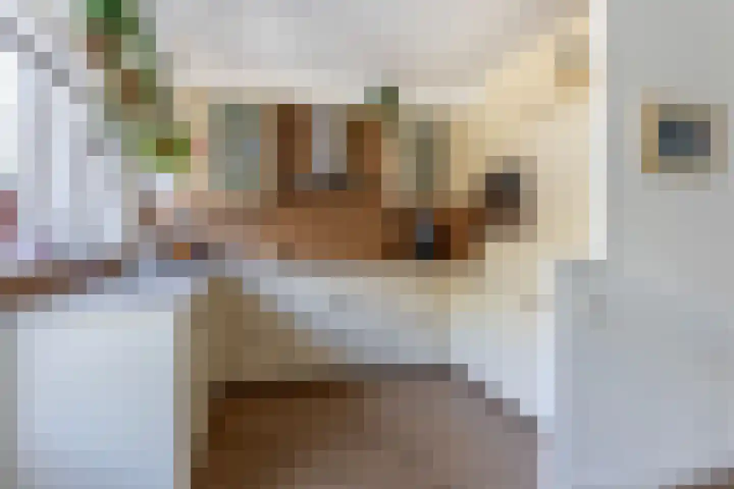 Titus Brandsmahove 86 Zoetermeer thumbnail 16