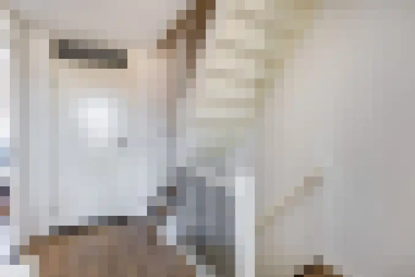 Titus Brandsmahove 86 Zoetermeer thumbnail 23