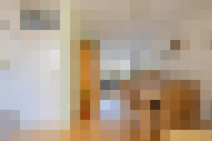 Titus Brandsmakwartier 24 Middelburg thumbnail 10