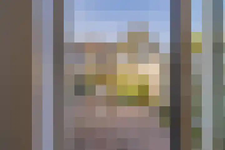 Titus Brandsmakwartier 24 Middelburg thumbnail 14