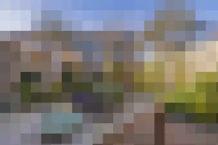 Titus Brandsmakwartier 24 Middelburg thumbnail 16