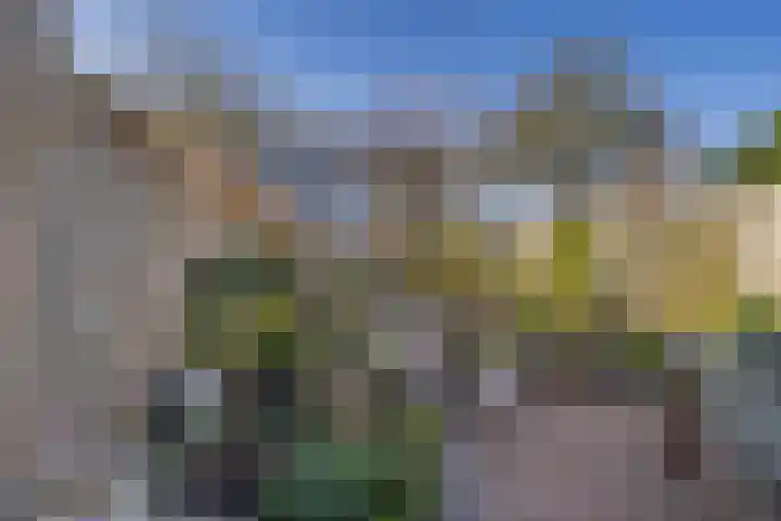 Titus Brandsmakwartier 24 Middelburg thumbnail 17