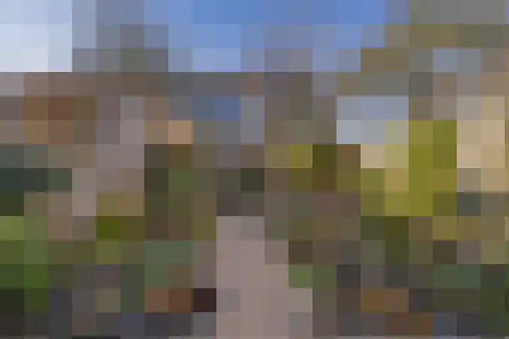 Titus Brandsmakwartier 24 Middelburg thumbnail 18