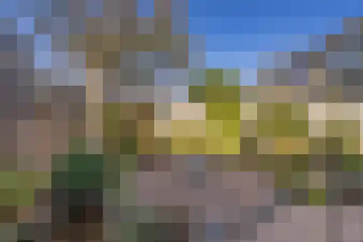 Titus Brandsmakwartier 24 Middelburg thumbnail 19