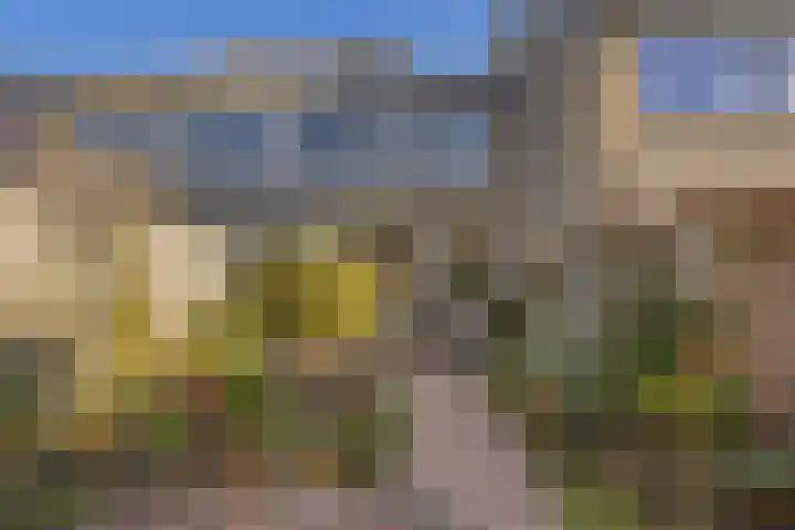 Titus Brandsmakwartier 24 Middelburg thumbnail 20