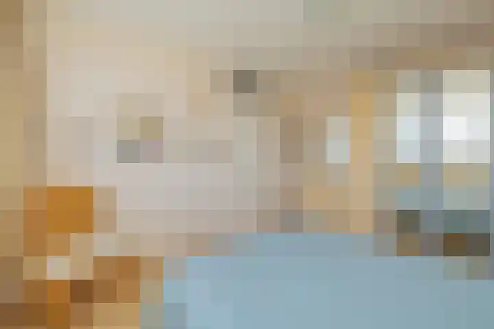 Titus Brandsmakwartier 24 Middelburg thumbnail 34
