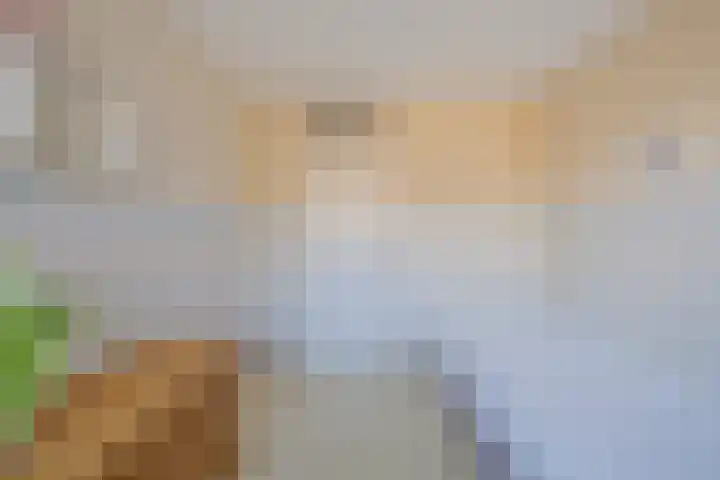 Titus Brandsmakwartier 24 Middelburg thumbnail 38