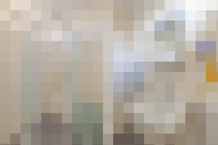 Titus Brandsmakwartier 24 Middelburg thumbnail 43