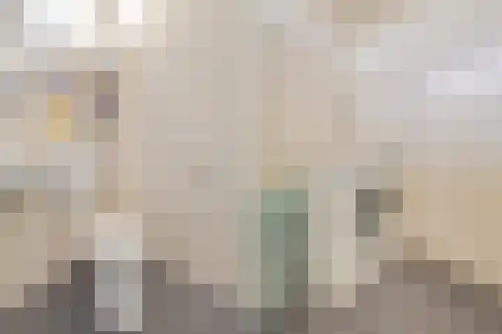 Titus Brandsmakwartier 24 Middelburg thumbnail 44