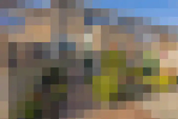 Titus Brandsmakwartier 24 Middelburg thumbnail 6