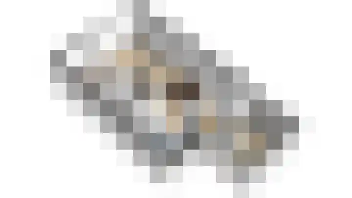 Titus Brandsmakwartier 24 Middelburg thumbnail 8