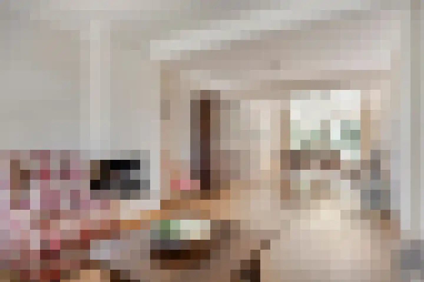 Titus Brandsmalaan 25 Oss thumbnail 15