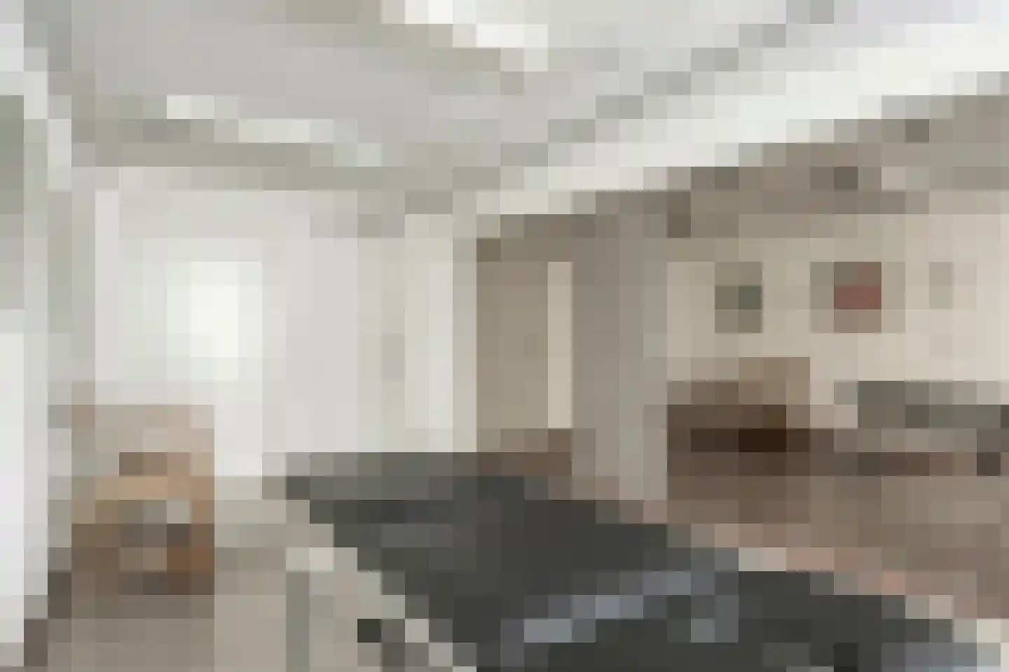 Titus Brandsmalaan 25 Oss thumbnail 20
