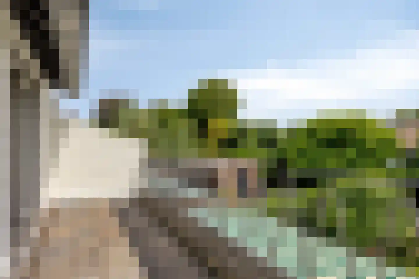 Titus Brandsmalaan 25 Oss thumbnail 26