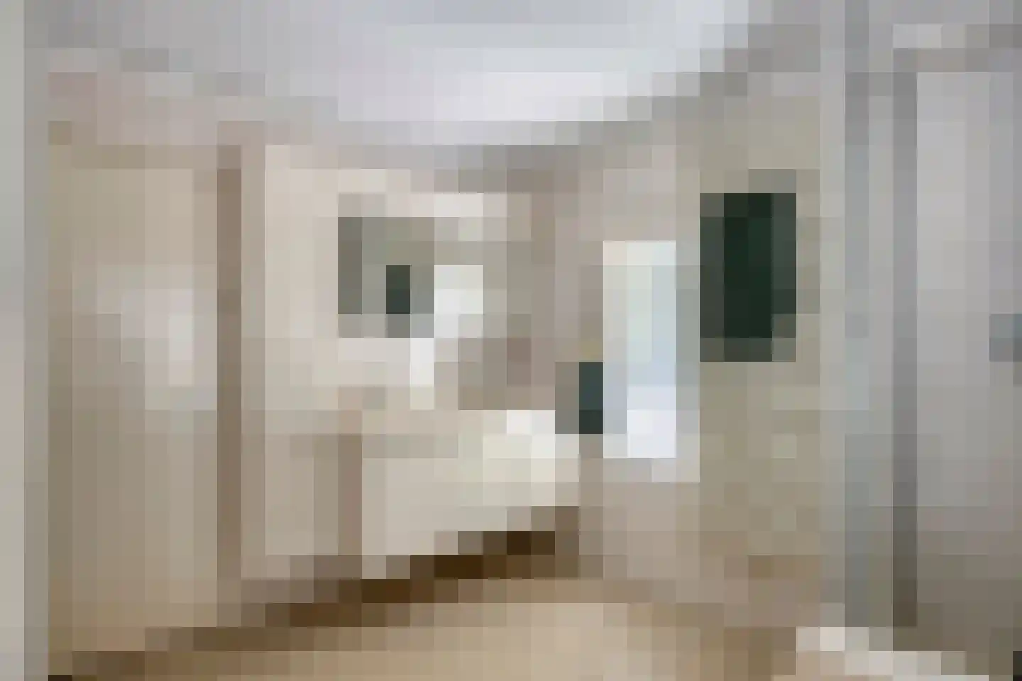 Titus Brandsmalaan 25 Oss thumbnail 29