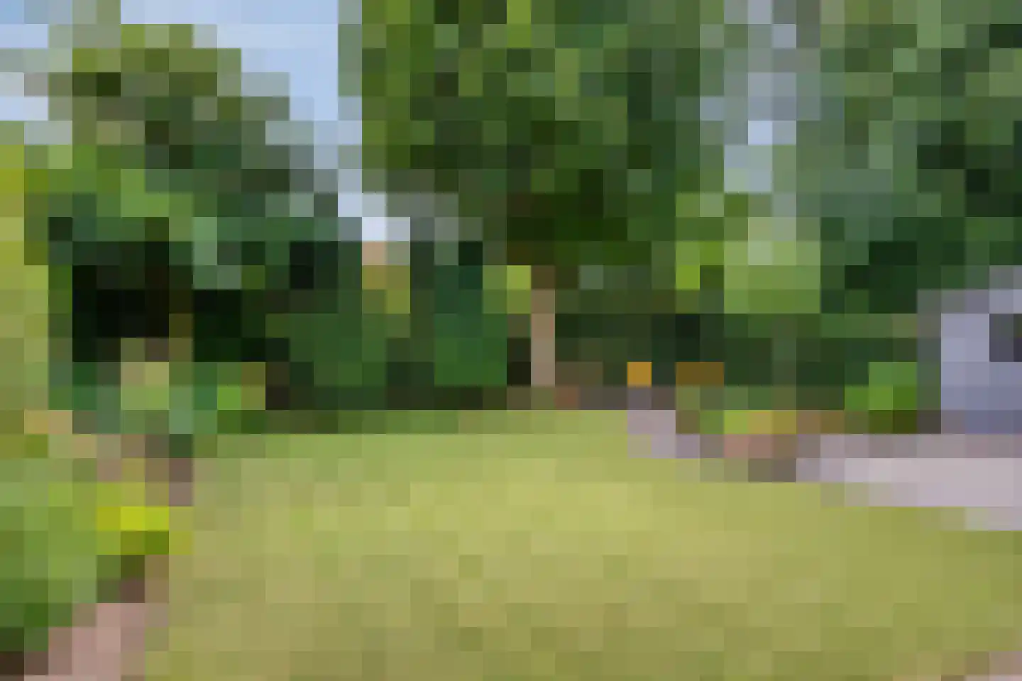 Titus Brandsmalaan 25 Oss thumbnail 38