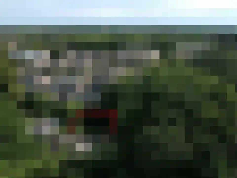 Titus Brandsmalaan 25 Oss thumbnail 46