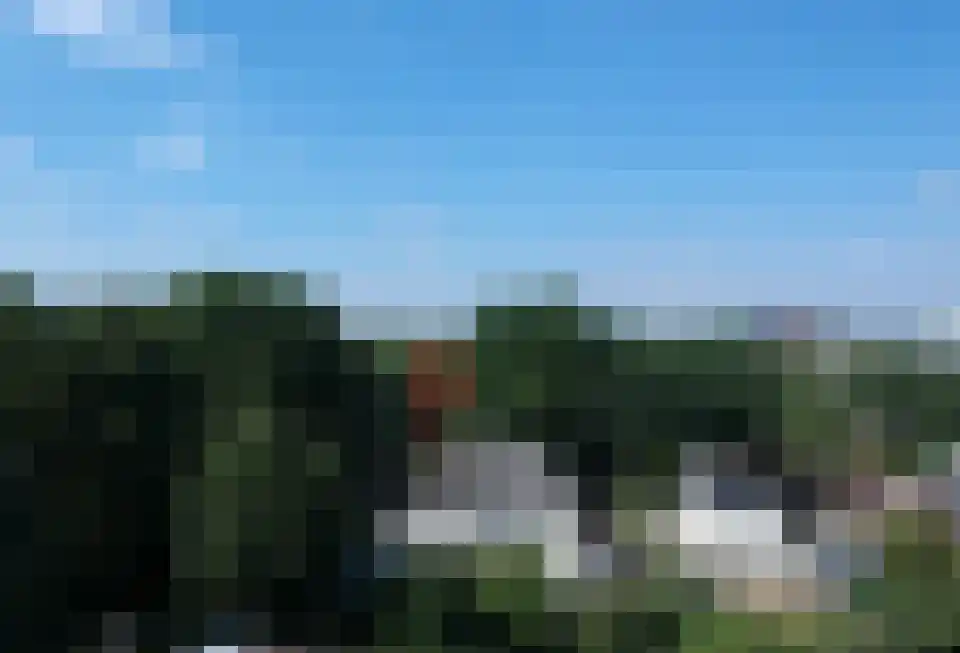 Titus Brandsmalaan 25 Oss thumbnail 47