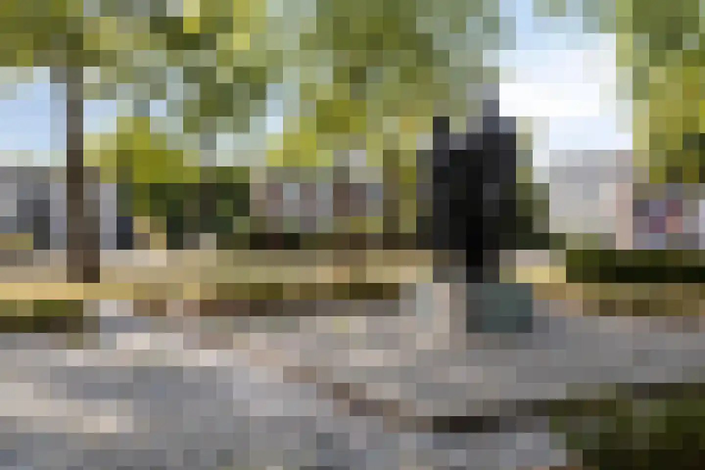 Titus Brandsmalaan 25 Oss thumbnail 48