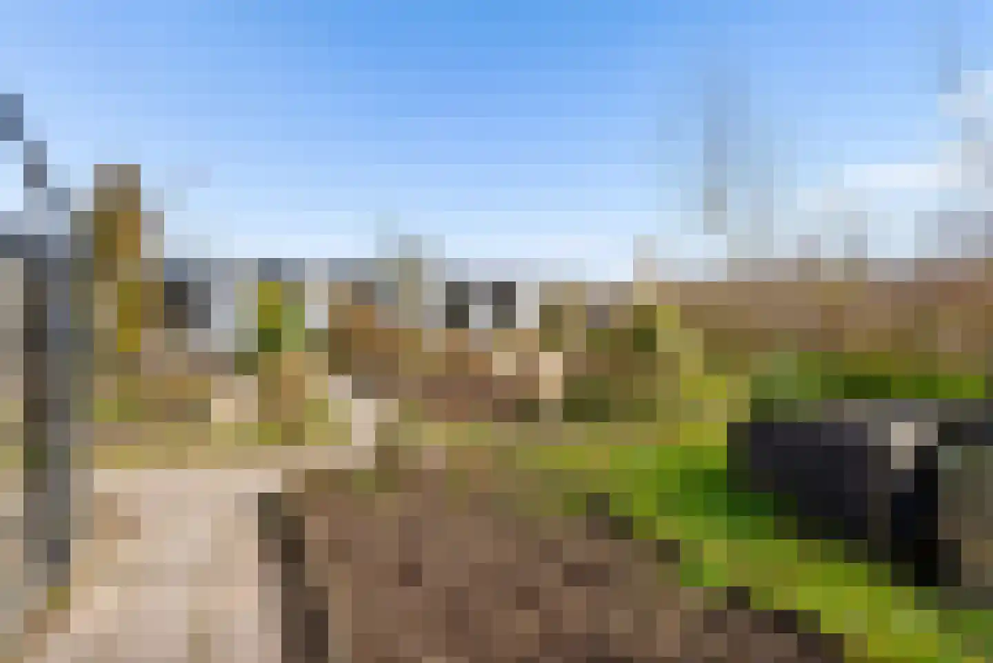 Titus Brandsmalaan 43 Almere thumbnail 106