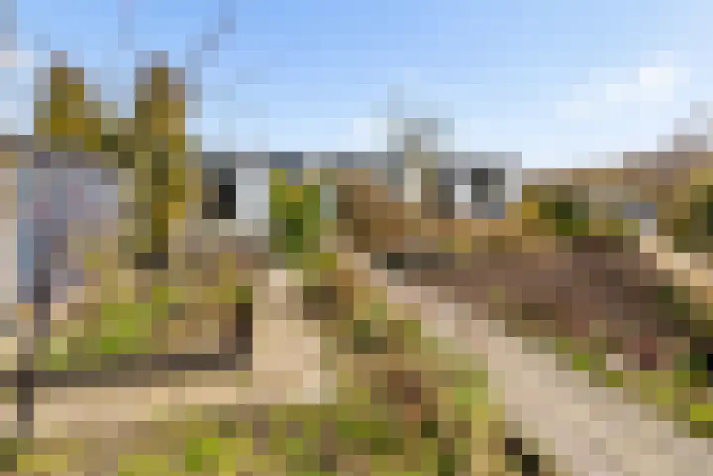 Titus Brandsmalaan 43 Almere thumbnail 108