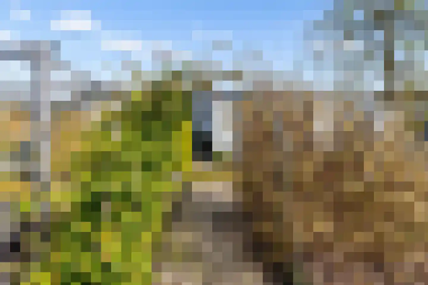 Titus Brandsmalaan 43 Almere thumbnail 111