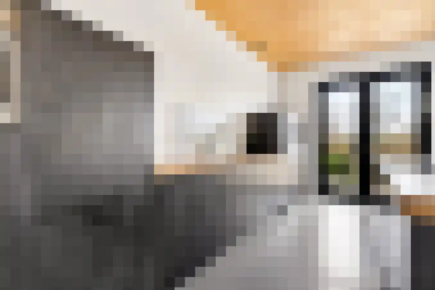 Titus Brandsmalaan 43 Almere thumbnail 52