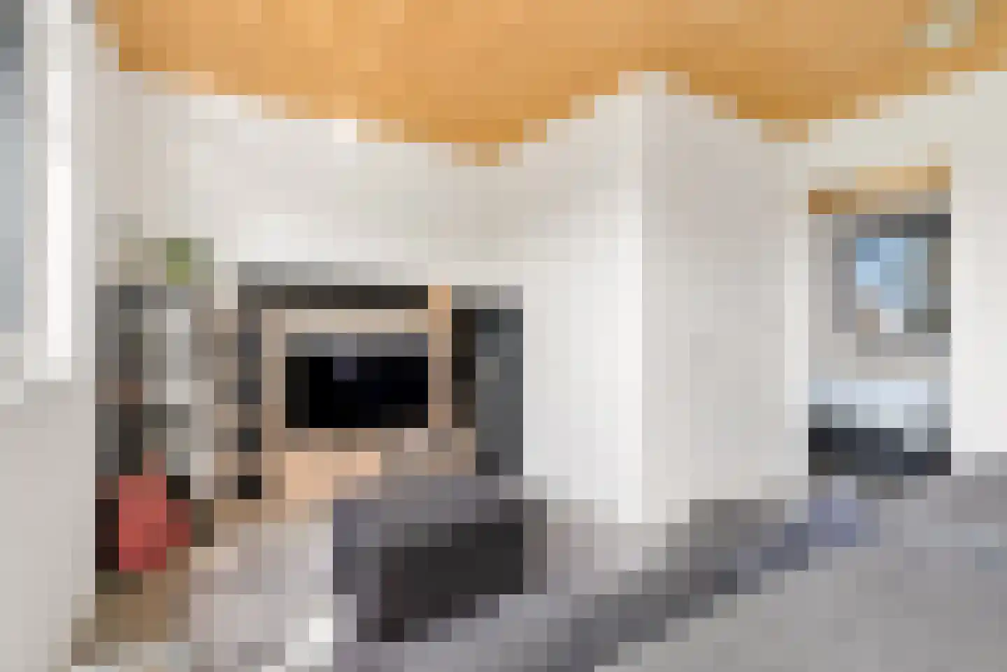 Titus Brandsmalaan 43 Almere thumbnail 71