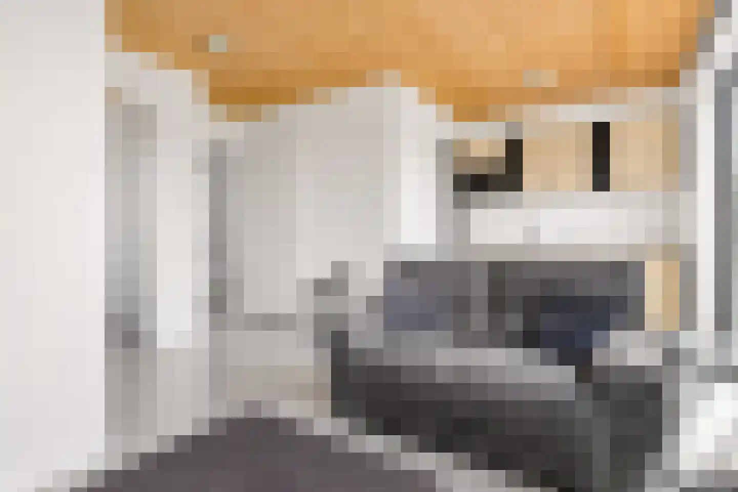 Titus Brandsmalaan 43 Almere thumbnail 73