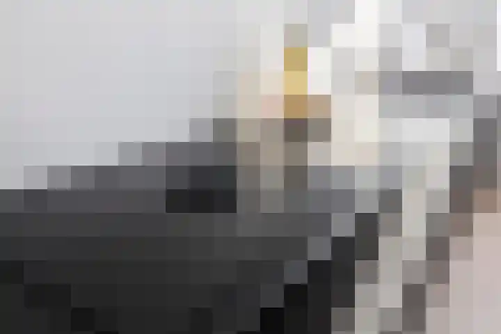 Titus Brandsmaplein 2 Boxmeer thumbnail 11