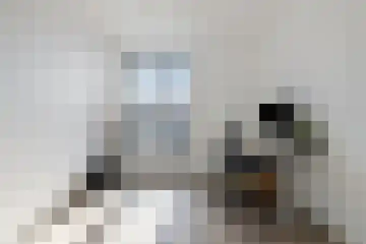 Titus Brandsmaplein 2 Boxmeer thumbnail 14