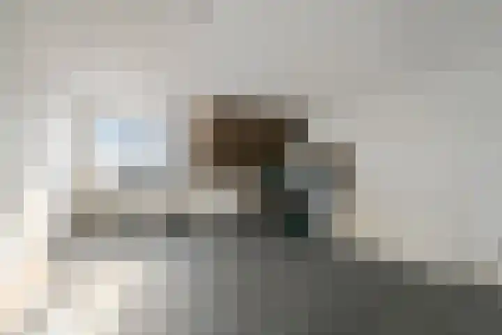 Titus Brandsmaplein 2 Boxmeer thumbnail 19