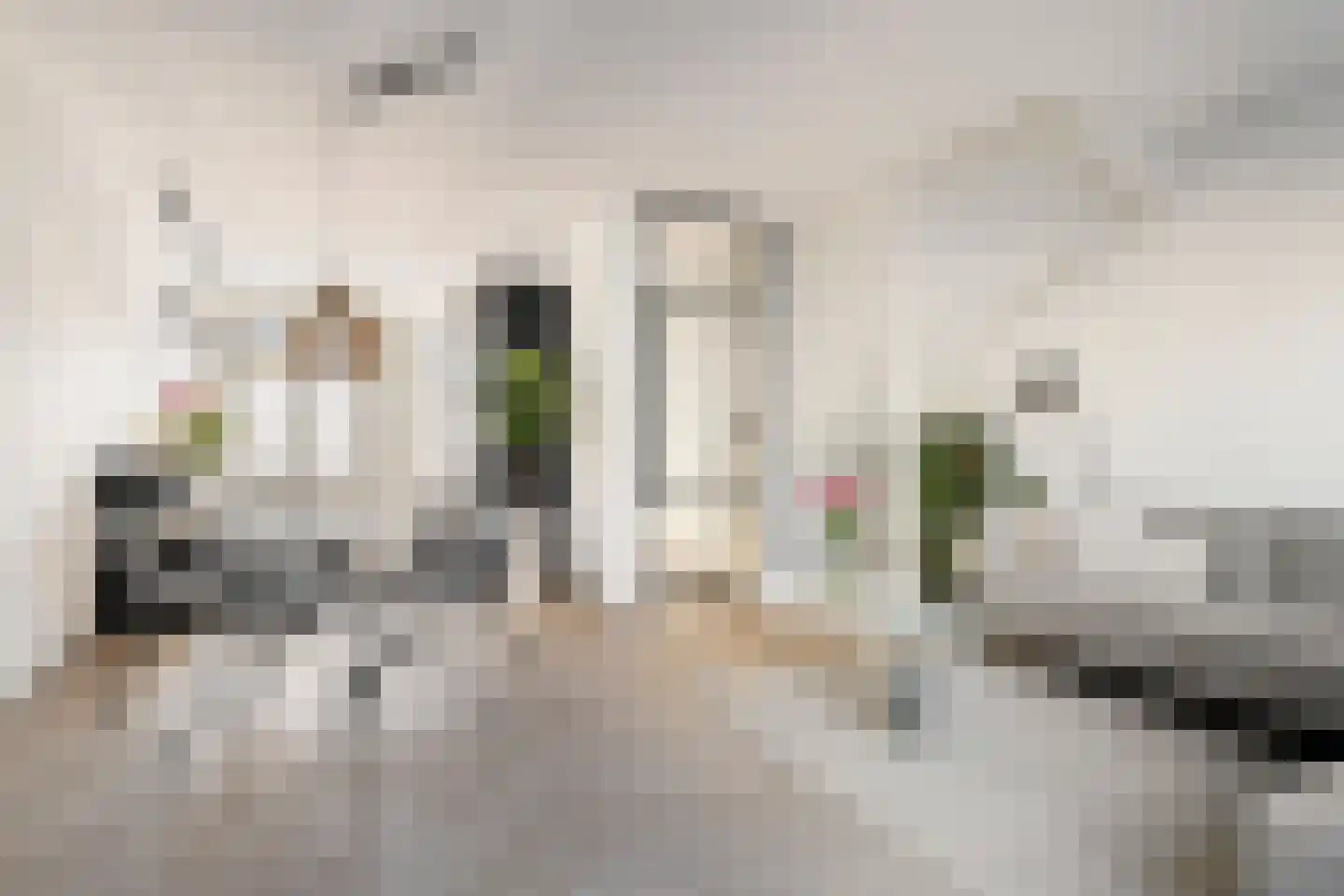 Titus Brandsmaplein 2 Boxmeer thumbnail 7