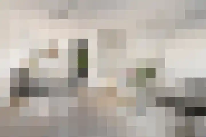 Titus Brandsmaplein 2 Boxmeer thumbnail 7