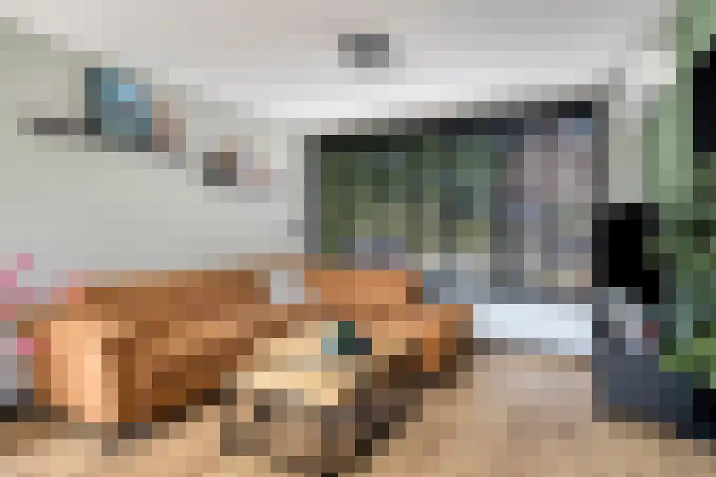 Titus Brandsmastraat 1 Heemskerk thumbnail 11