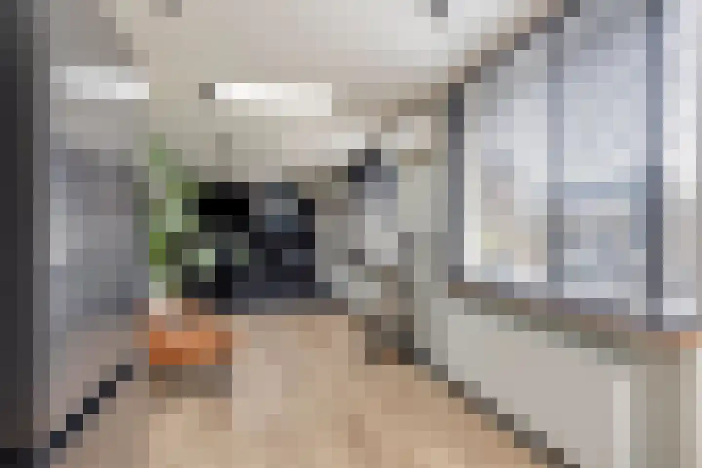Titus Brandsmastraat 1 Heemskerk thumbnail 19