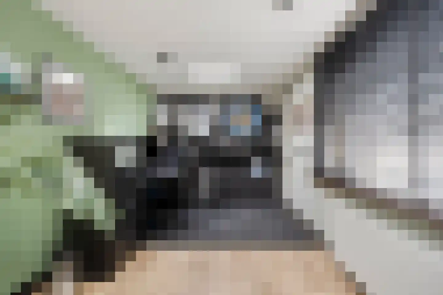 Titus Brandsmastraat 1 Heemskerk thumbnail 20