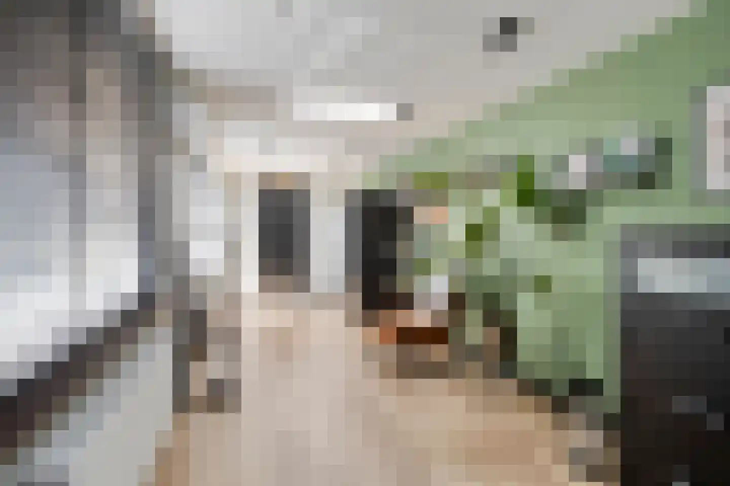 Titus Brandsmastraat 1 Heemskerk thumbnail 22