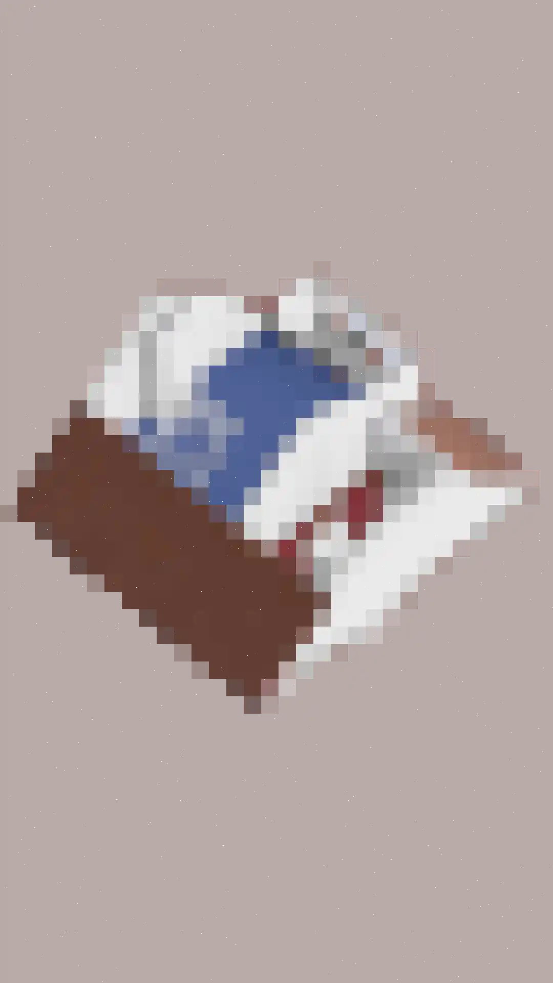 Titus Brandsmastraat 1 Heemskerk thumbnail 42