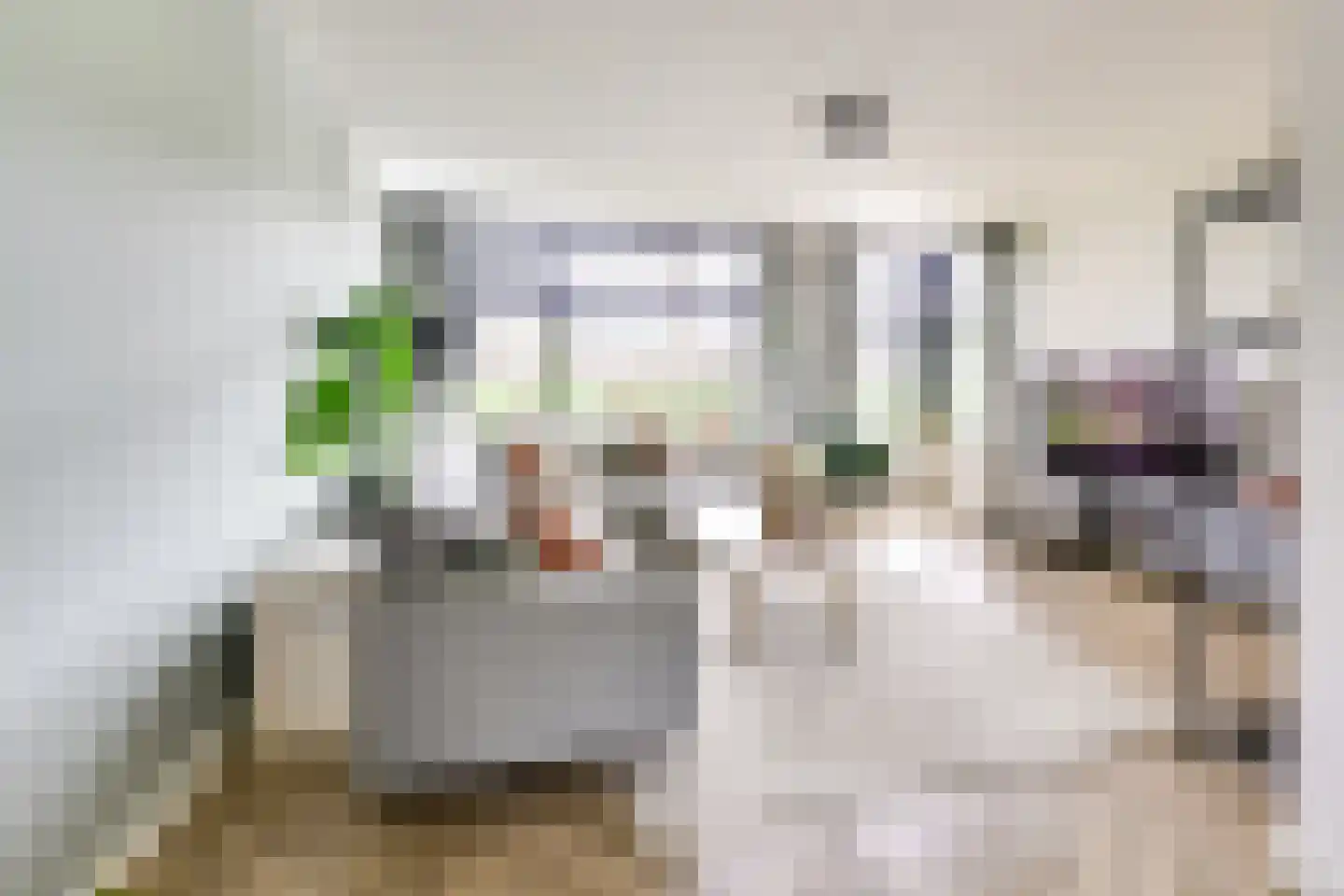 Titus Brandsmastraat 1 Nieuwegein thumbnail 4