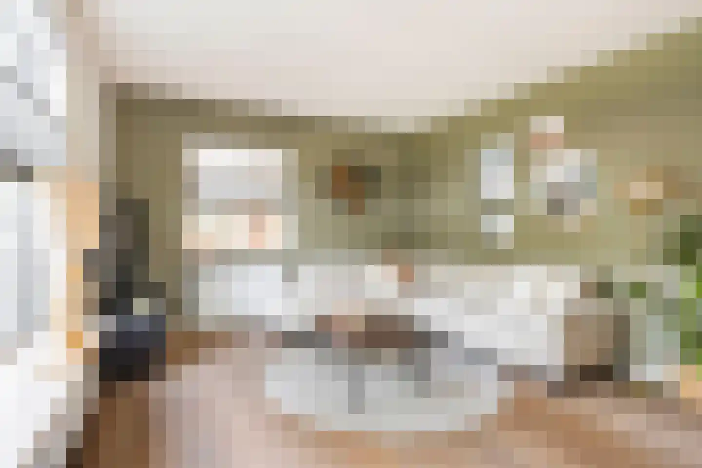 Titus Brandsmastraat 1 Ootmarsum thumbnail 10