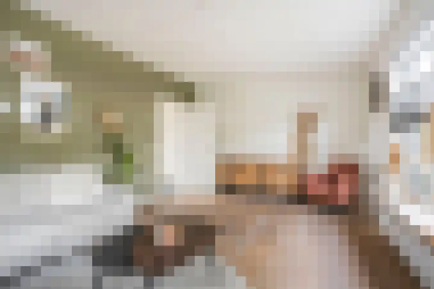 Titus Brandsmastraat 1 Ootmarsum thumbnail 11