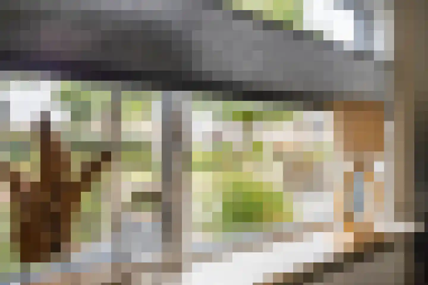 Titus Brandsmastraat 1 Ootmarsum thumbnail 12