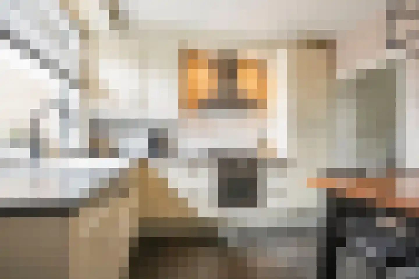 Titus Brandsmastraat 1 Ootmarsum thumbnail 15