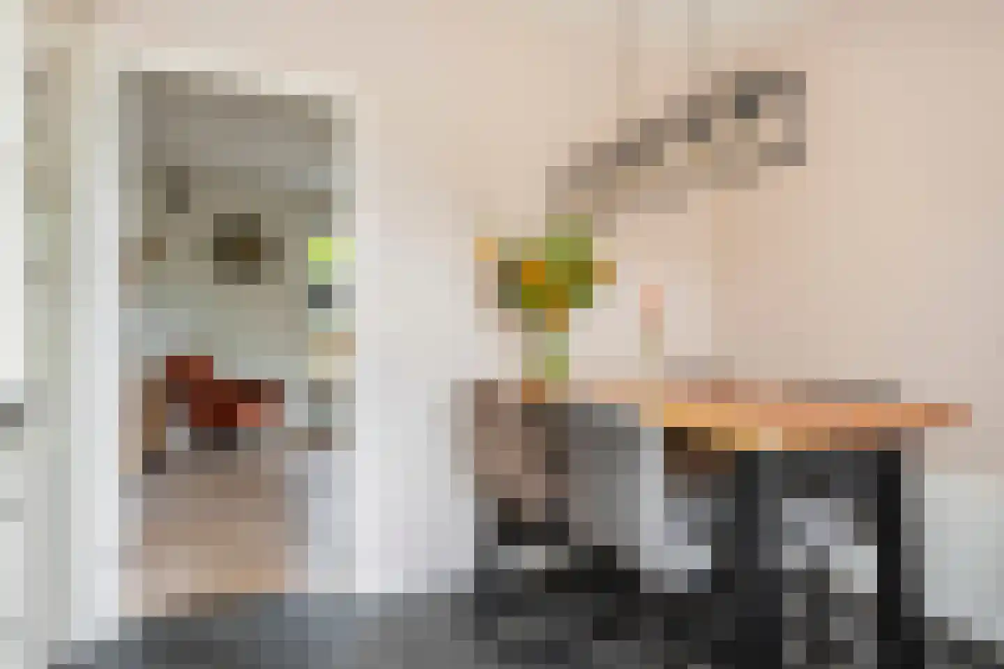Titus Brandsmastraat 1 Ootmarsum thumbnail 17